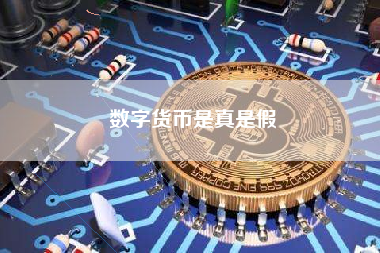 数字货币是真是假