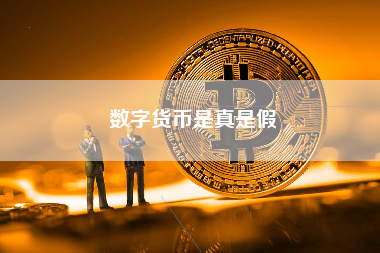 数字货币是真是假